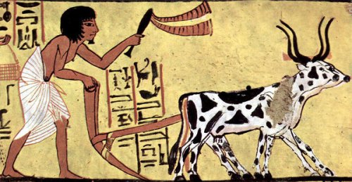 egyptian-plough-and-writing